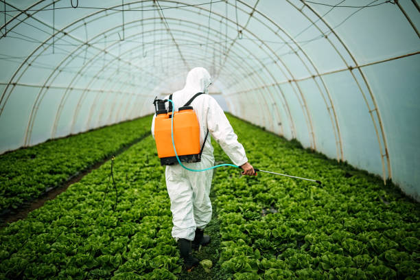 Best Mosquito Control Services  in Vander, NC