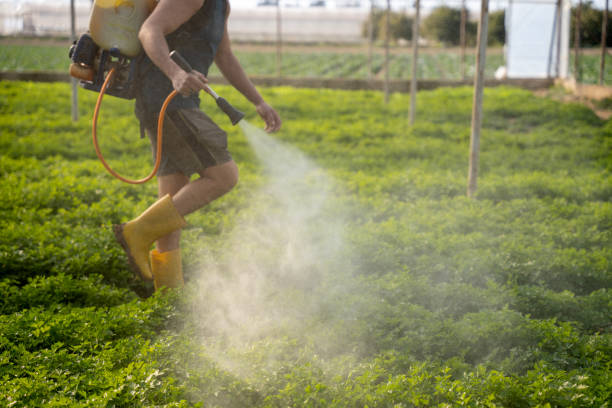 Pest Control for Restaurants in Vander, NC