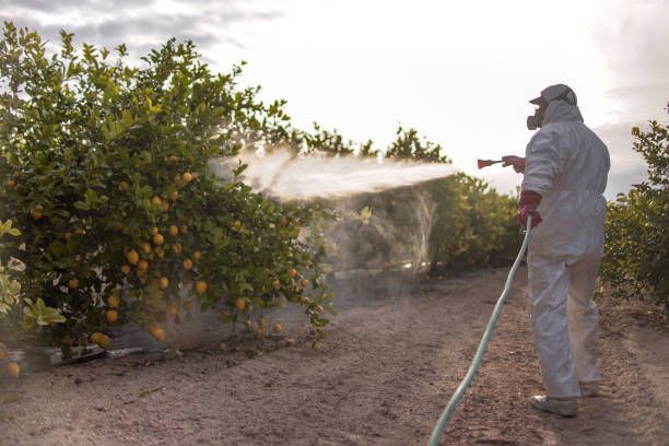 Pest Control Cost in Vander, NC